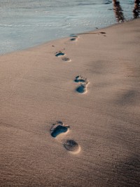 Junge Familie sucht ihren ökologischen Fußabdruck